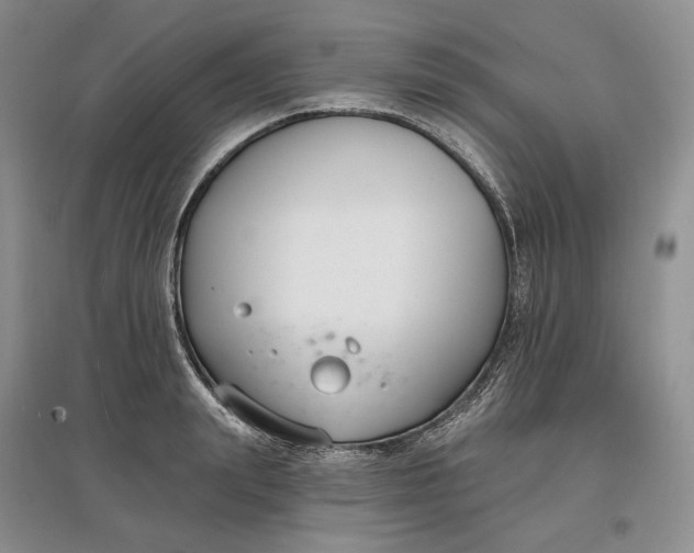 X0000097590847200803141853