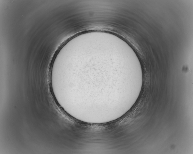 X0000097590848200803141853