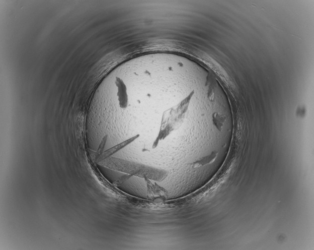 X0000097590849200803141853