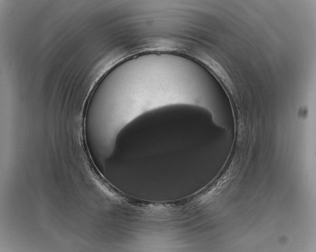 X0000097590850200803141853