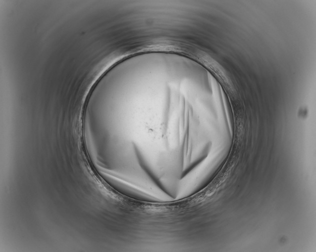 X0000097590852200803141853