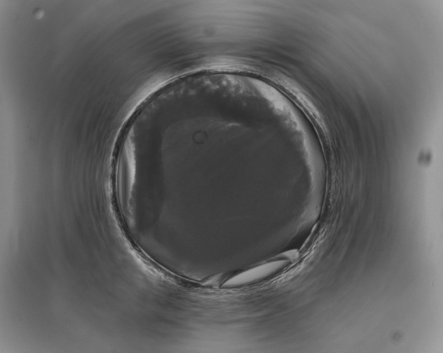 X0000097590853200803141853