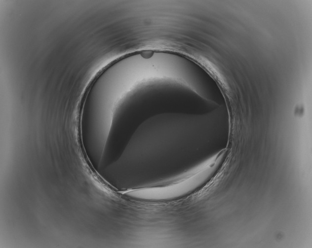 X0000097590854200803141853