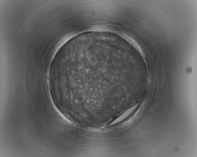 X0000097590855200803141853