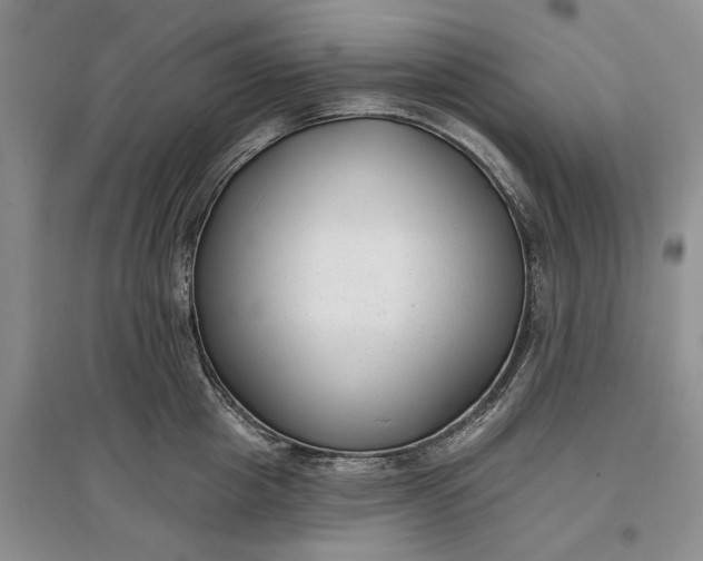 X0000097590857200803141853