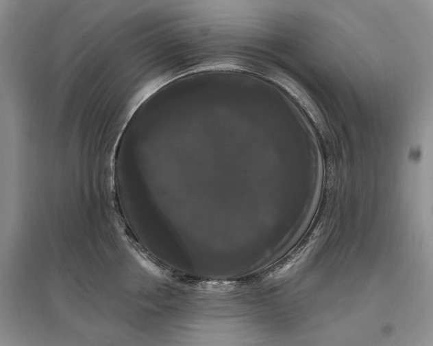 X0000097590858200803141853