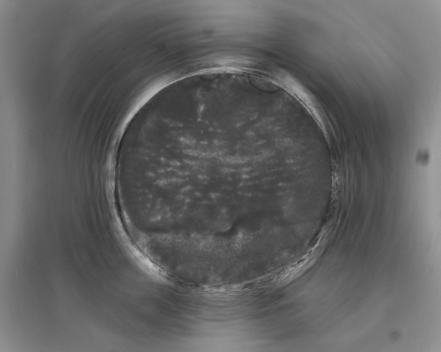 X0000097590859200803141853