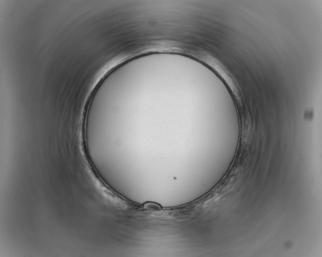 X0000097590861200803141853