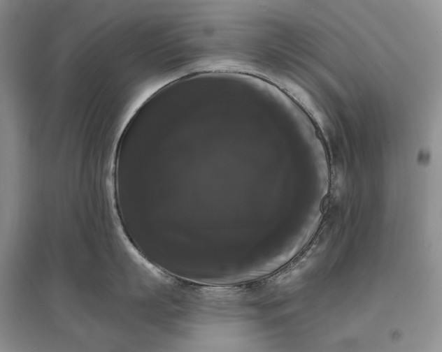 X0000097590863200803141853