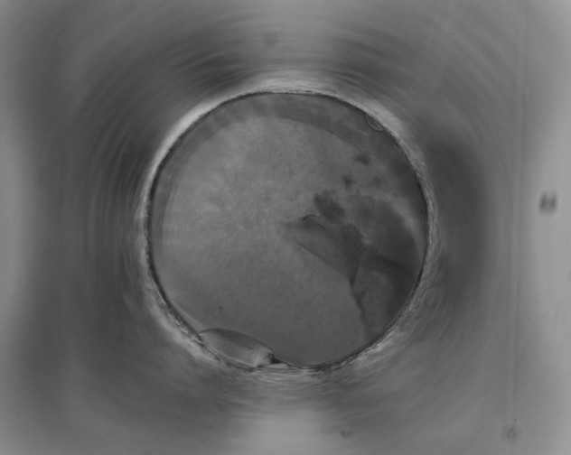 X0000097590864200803141853