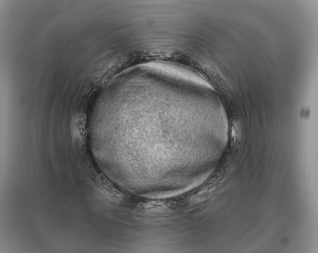 X0000097590867200803141852