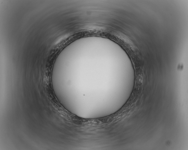 X0000097590869200803141852