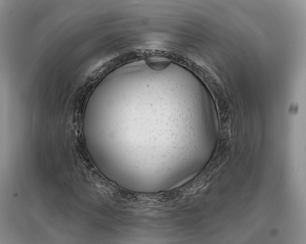 X0000097590870200803141852