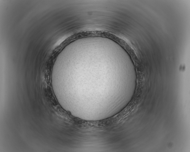 X0000097590871200803141852