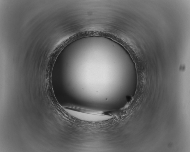 X0000097590872200803141852