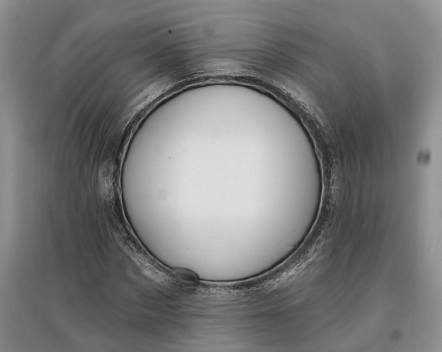 X0000097590873200803141852