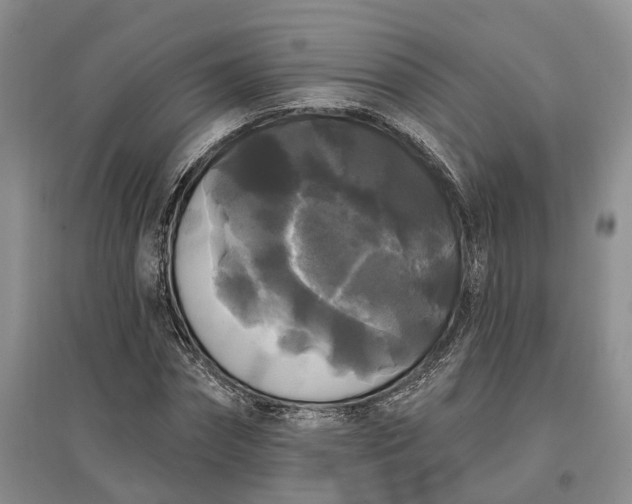 X0000097590874200803141852