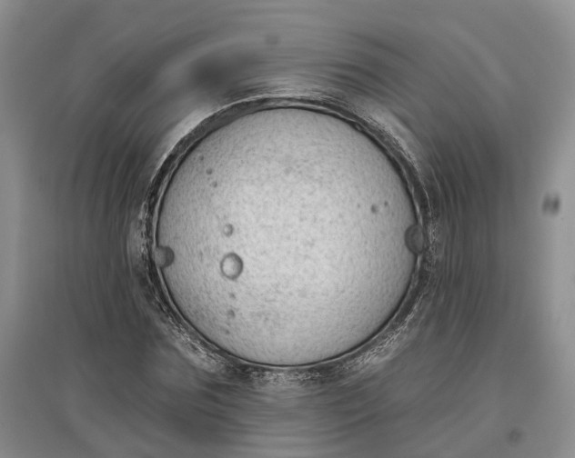 X0000097590875200803141852