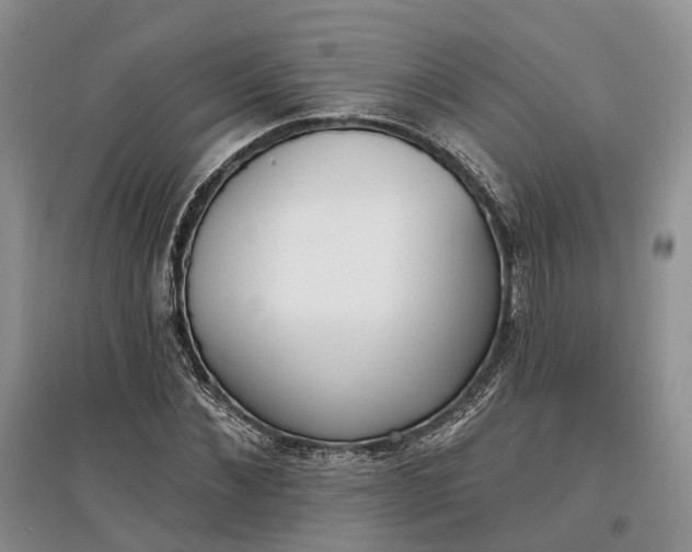 X0000097590876200803141852