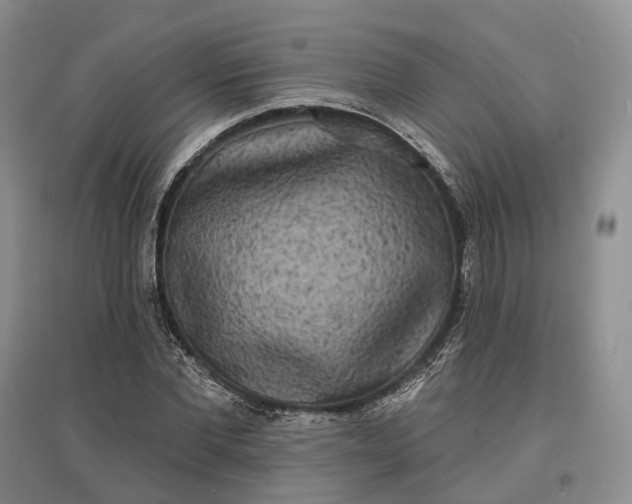 X0000097590877200803141852