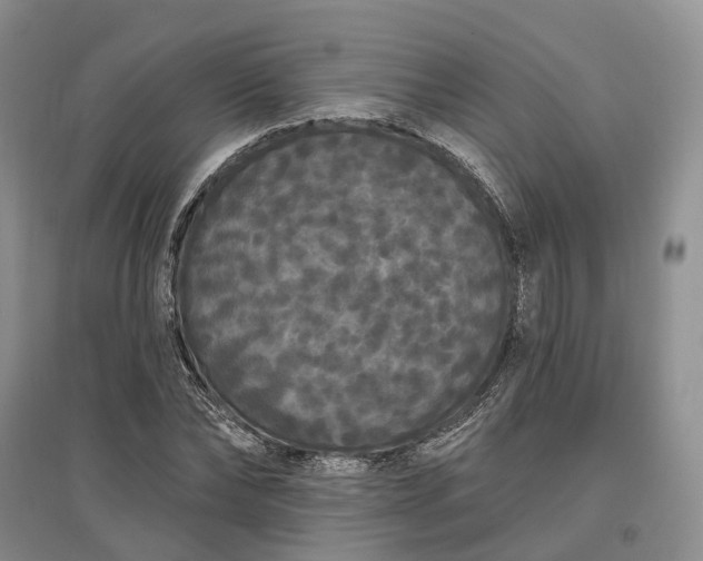 X0000097590878200803141852