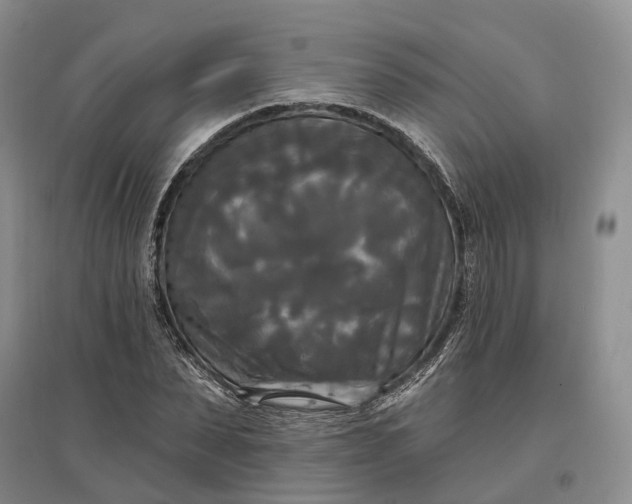 X0000097590879200803141852