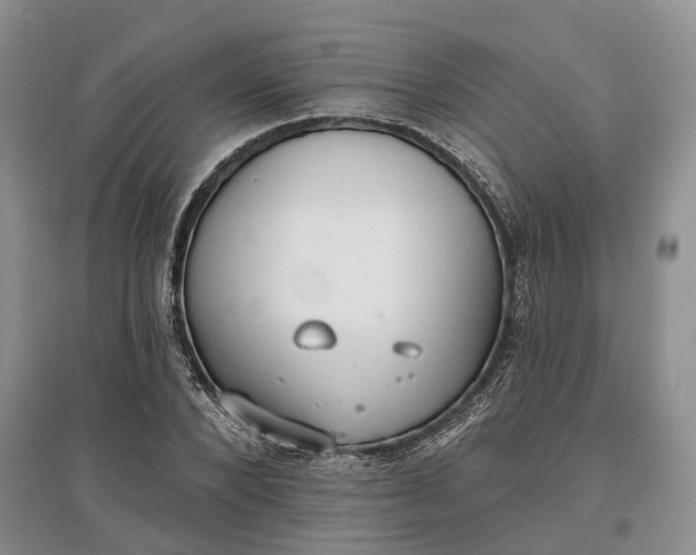 X0000097590880200803141852