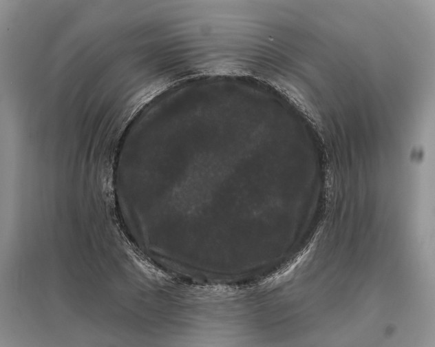 X0000097590881200803141852