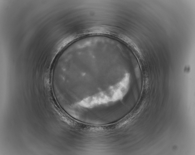 X0000097590882200803141852