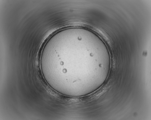 X0000097590883200803141852