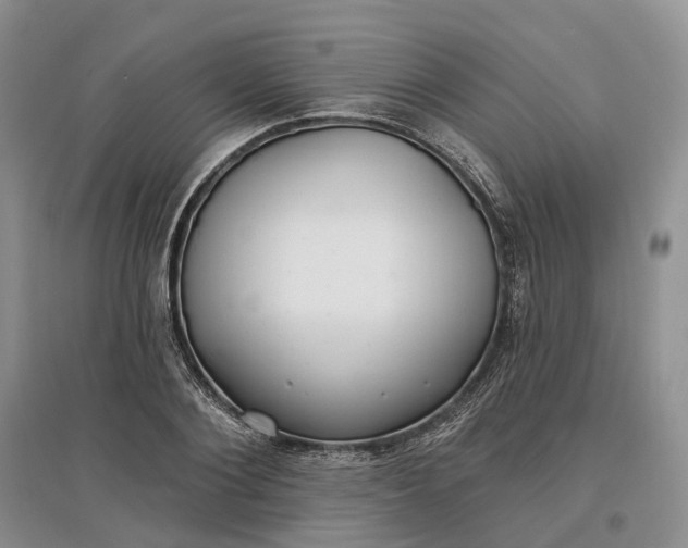 X0000097590884200803141852