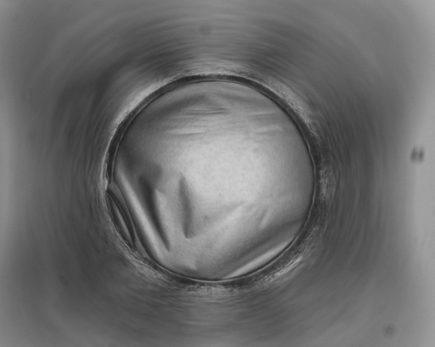 X0000097590885200803141852