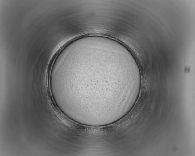 X0000097590886200803141852