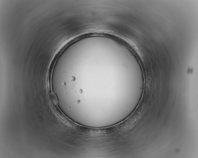 X0000097590887200803141852