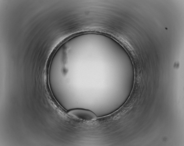 X0000097590888200803141852