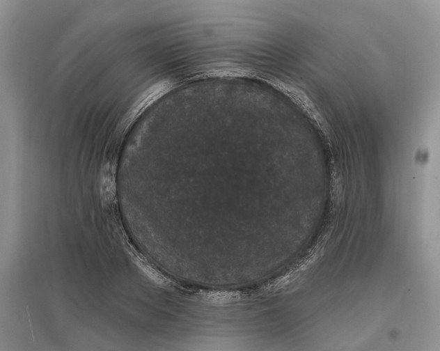 X0000097590889200803141852