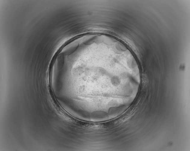 X0000097590891200803141852