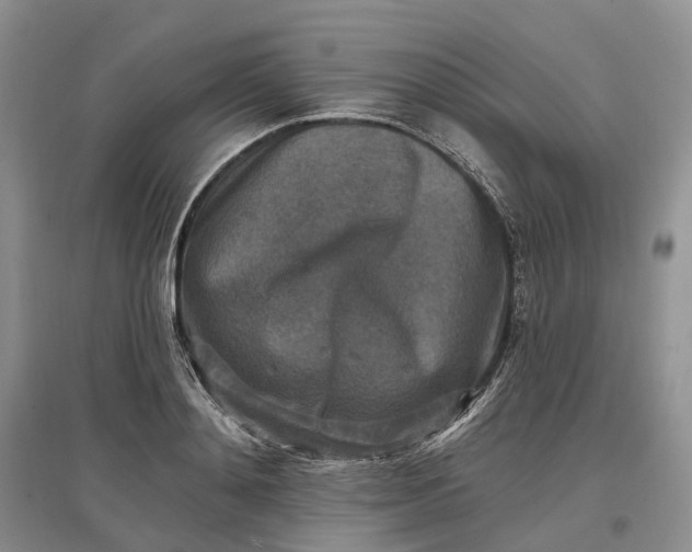 X0000097590892200803141852