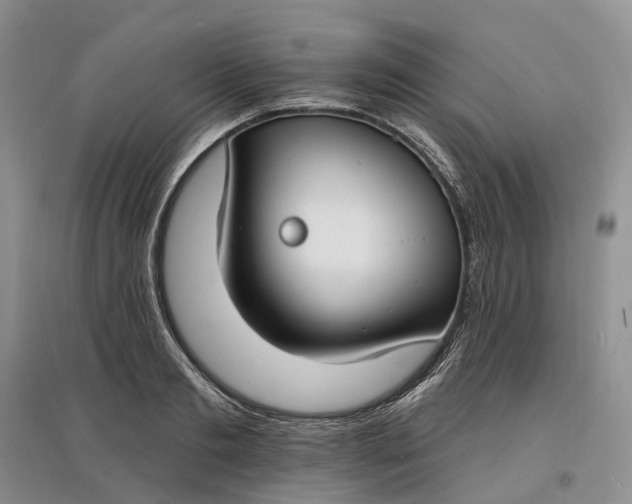 X0000097590893200803141852