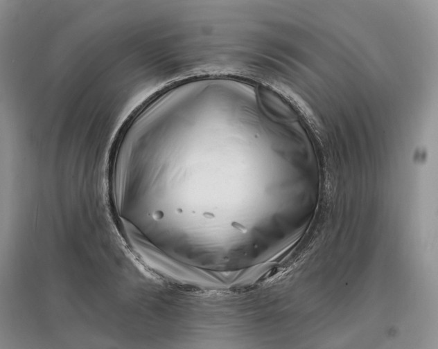 X0000097590894200803141852