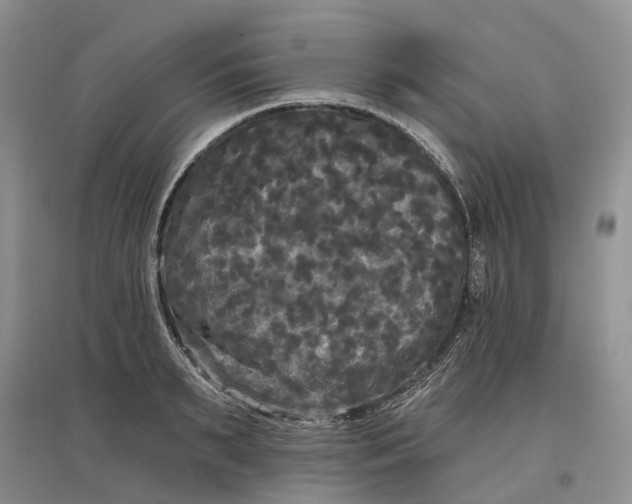 X0000097590895200803141852