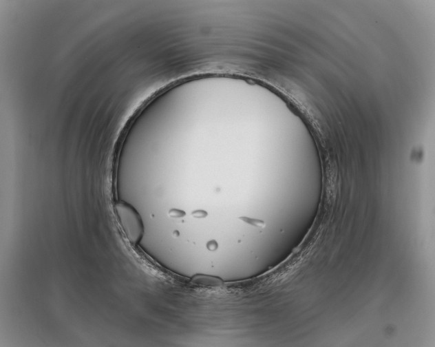 X0000097590896200803141852