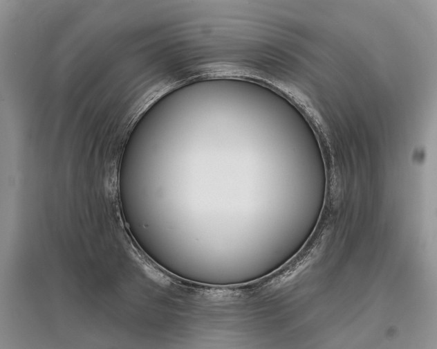 X0000097590897200803141852