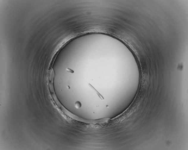 X0000097590898200803141852