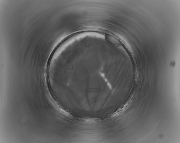 X0000097590899200803141852