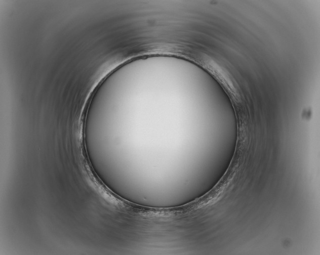 X0000097590900200803141852