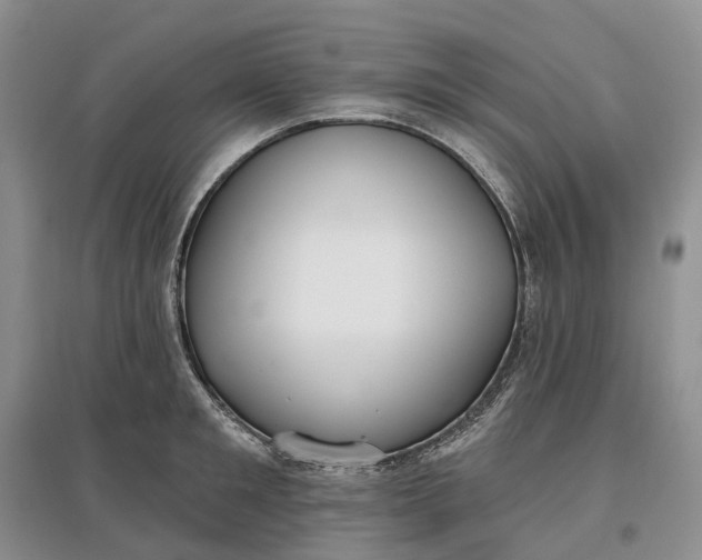 X0000097590901200803141852