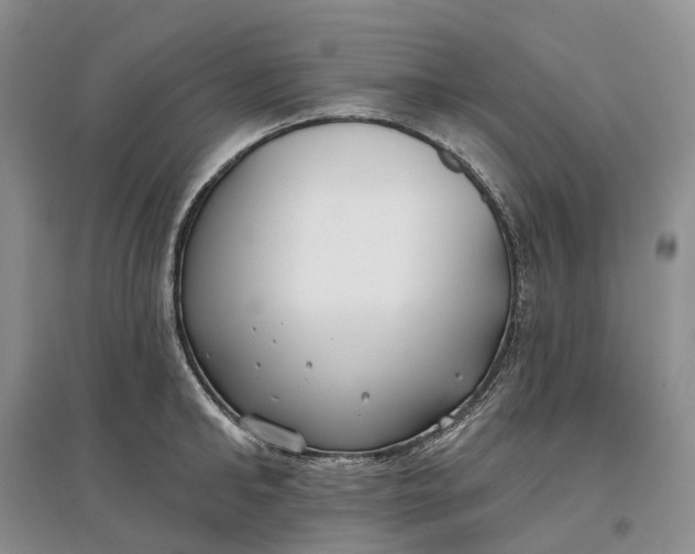 X0000097590902200803141852