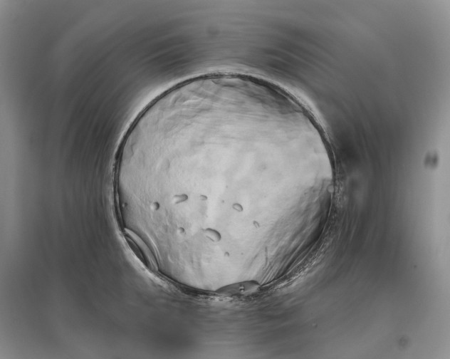 X0000097590903200803141852