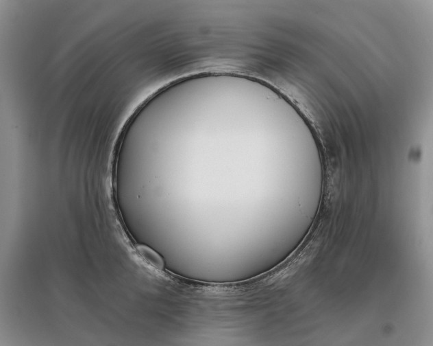 X0000097590904200803141852